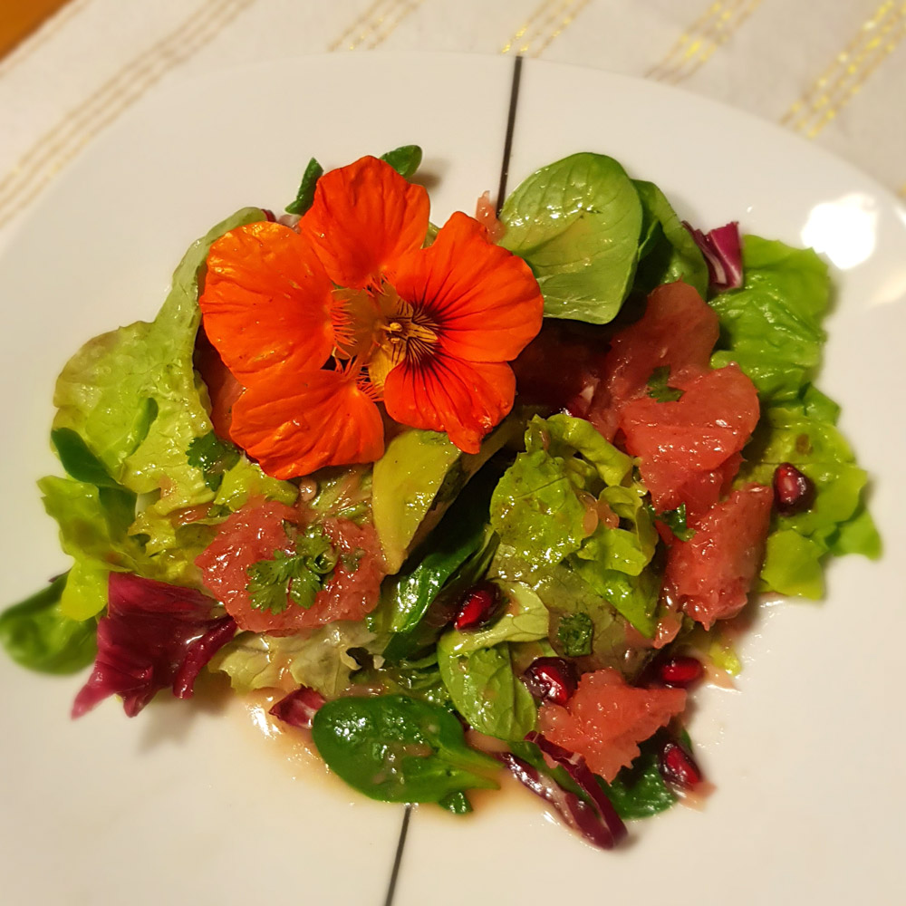 Bunter Salat mit Blutorange, Avocado und Granatapfel